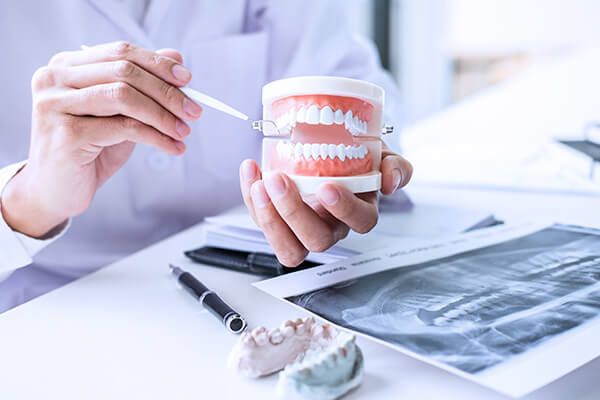 詳細な診断と分かりやすい説明